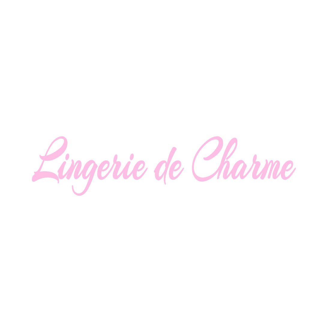 LINGERIE DE CHARME LA-FERTE-SAINT-CYR